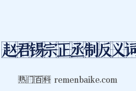 赵君锡宗正丞制反义词是什么意思的图片